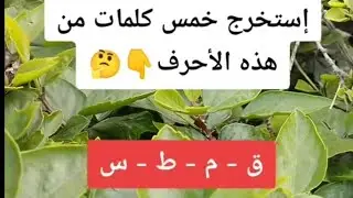 بدأت قناة 