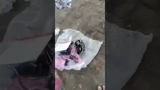 Pulsar 150 cc half engine fitting