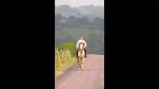 T&ouml;lt et galop Teitinger