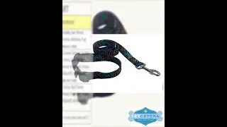 Tiger Stripe Tie Dye Nylon Collars or Leads (5/8