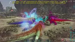 Awesome anti counter at purple osd
