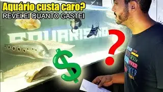 AQUÁRIO 🟢 QUANTO CUSTA PRA MONTAR O AQUÁRIO JUMBO IGUAL O MEU? FALEI O VALOR DE TUDO !