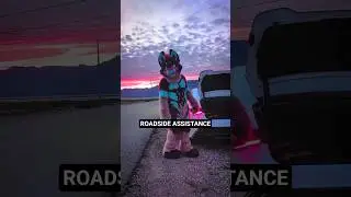 roadside assistance 😭🚗🦊
