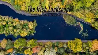 Bushy Park - Dublin - Ireland - 4K Drone Cinematic film (Mavic Air 2 4K) The Irish Landscape -  Ep 6