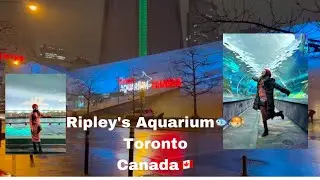 Ripley&rsquo;s Aquarium |Toronto | Canada | Travel video| North America | Indian girl