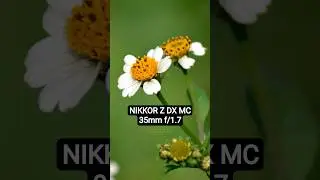 Nikon&rsquo;s New 35mm crop sensor lens | NIKKOR Z DX MC 35mm f/1.7  #35mm #nikkorz #primelens #zLens