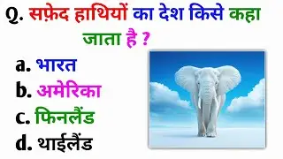 Gk Question | Gk In Hindi | Gk Question And Answer | General Knowledge | Golden Gk Quiz | Gk Quiz |