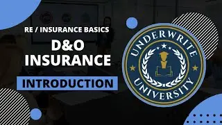 Directors and Officers (D&O) Insurance Introduction Course | Beginner's Guide to D&O Liability