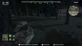 Scandinavian Cottage Survival Simulator . Un lapin ...?