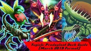 Yugioh: Predaplant Deck Guide (March 2019 Format)