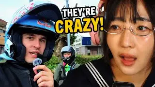 They Tried Crossing Japan With No Map | Japanese Teacher Reacts