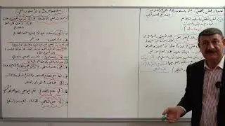 اسلوب النفي المحاضرة الاخيرة - الاستاذ حيدر العامري
