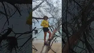 Arte na &aacute;rvore 🌳 barra grande #maragogi #praiasdonordeste