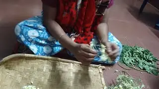 ଆମ ବାଡି ଶାଗ! କ'ଣ ଆଉ କରିବି? 