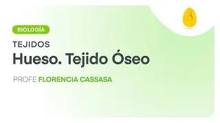 Hueso - Tejido Óseo | Biología | Tejidos | V6 | Egg Educación