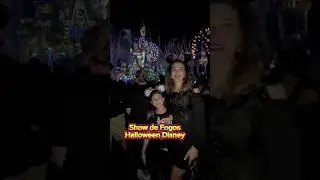 Show de fogos Disney 😍#disney #maeefilha #sonho #show #magickingdom