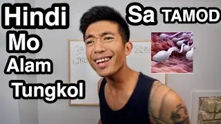 8 Hindi Mo Alam Tungkol Sa TAMOD Mo