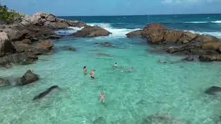 Anse Coco 2023 - suivi