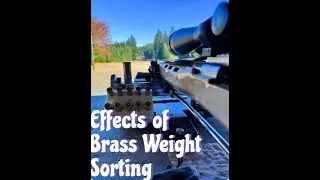 Effects of Weight Sorting Brass on Precision