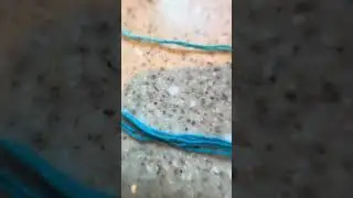 How to make twisted hobby horse reins!!