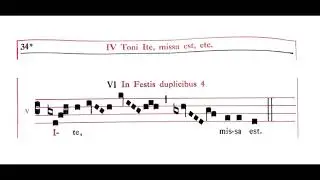 Ite Missa Est 8 (VIII)