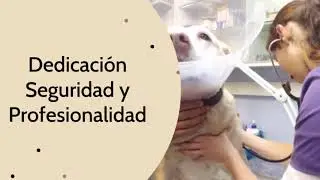 D&iacute;a mundial de la veterinaria