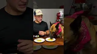 Applesauce Taste Test