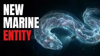 2026 - This Newly Discovered Creature Exhibits Intelligence Never Before Seen in the Deep Sea