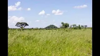Where to Camp - Chobe National Park The Complete Guide