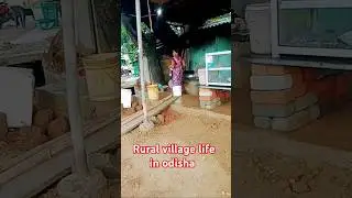 rural village life in odisha//village life style in india//desi life style in odisha #shortsfeed