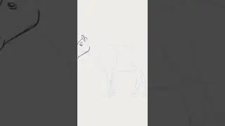 Zebra drawing ✏️ pencil drawing easy drawing #painting #drawing