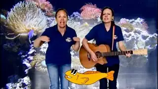 Slippery Fish & Ocean Songs