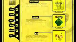 WSA 2009: IQ Training & Testing