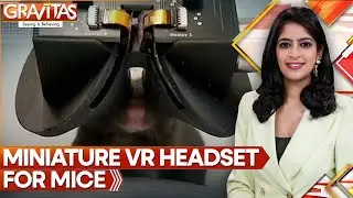 Mini Vr Headsets For Mice Allow Unprecedented Insight Into Brain Activity | GRAVITAS | WION