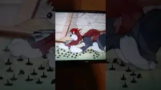 Tom And Jerry Tom And Meathead Cat Stepping On Tacks.