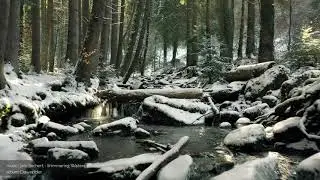 Shimmering Waters (Sample) - Jens Buchert.