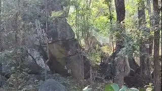 Turiya Gate Pench Tiger Reserve 