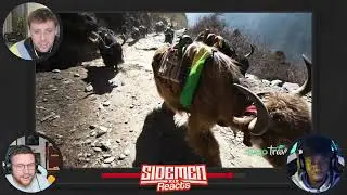 Sidemen React Namche Bazaar, Nepal