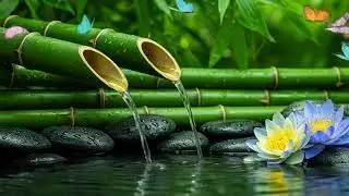 Beautiful Relaxing Music &ndash; Escape Overthinking and Find Deep Sleep with Gentle Healing Melodies
