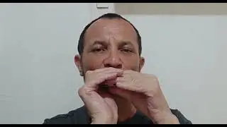 Aquela #Aula #Dica de #Gaita #Musica #Harmonica #EscalaBlues #EscalaMusical #Estudar #Praticar 