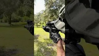 LWRC M6 with Triton Orion LPVO 1-10x