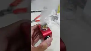 hadaly rda