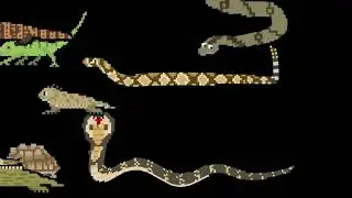 Reptiles 1 & 2 Together - @TheKidsPictureShow