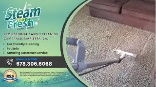 Professional Carpet Cleaning Companies Marietta - Steam N Fresh