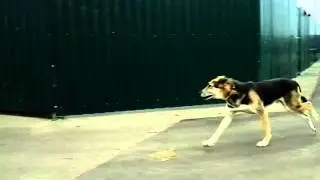 20151024 130108