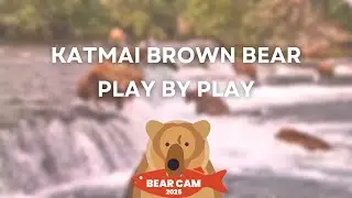 Play by Play 8.14.25 | Brooks Live Chat