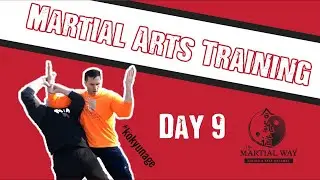 Traditional Aikido Training | Breath Power | Kokyu Nage | Day 9 #martialarts