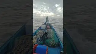 flshing in Telugu #prasad gangaputrudu Telugu fishing channel