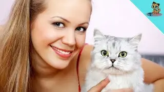 5 Wege, die Bindung zu deiner Katze zu st&auml;rken (Klappt SOFORT)