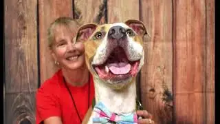 Humane Society CO Gives